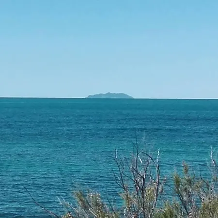 Sogno Mediterraneo * Livorno